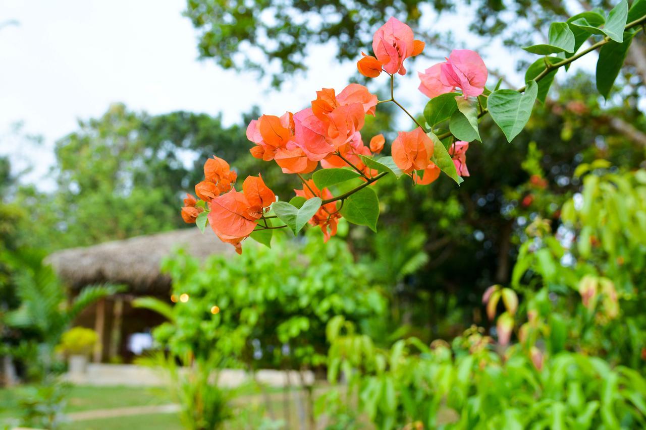 Kadolana Eco Village Balapitiya Exterior photo